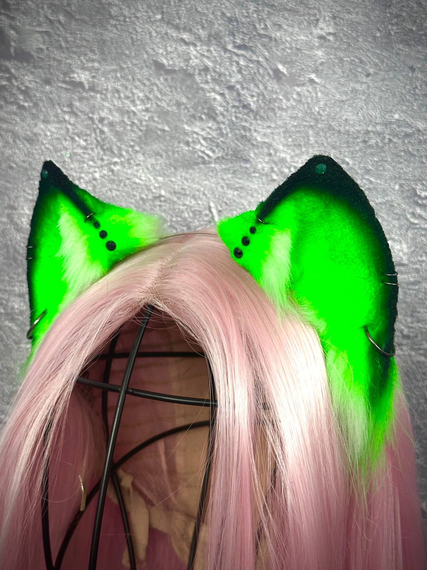 Acid Kitten Ears RFS