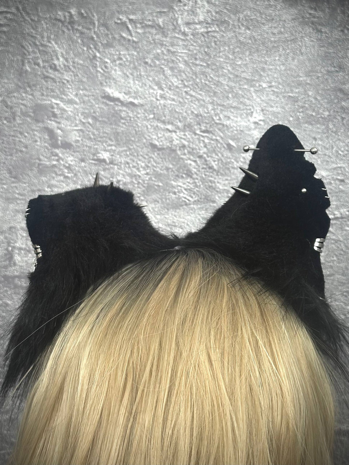 Mongrel Puppy Ears RFS
