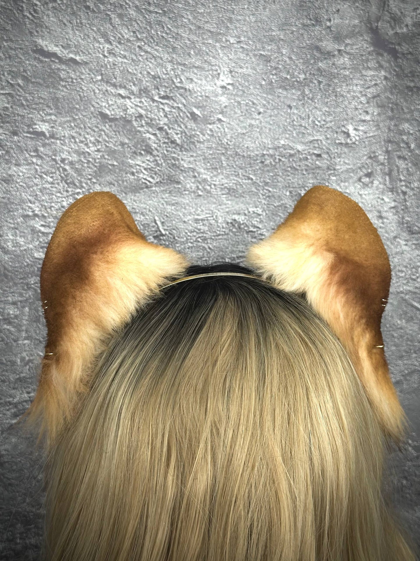 Lioness Ears RFS