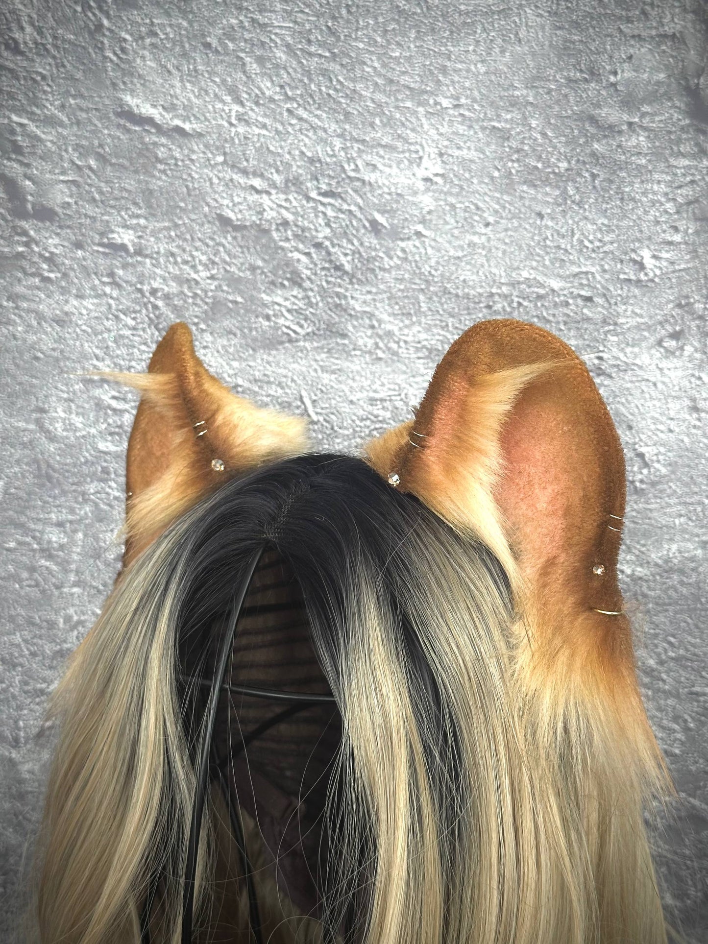 Lioness Ears RFS