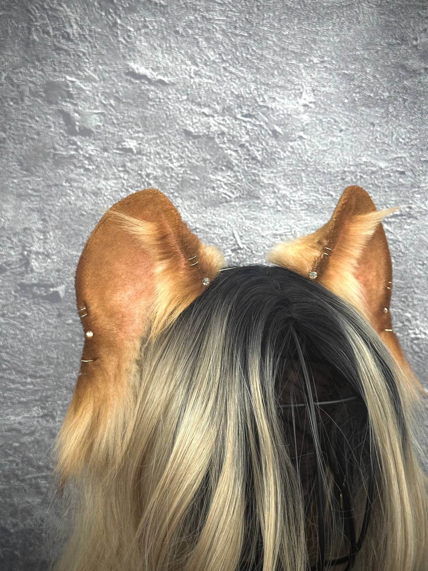 Lioness Ears RFS