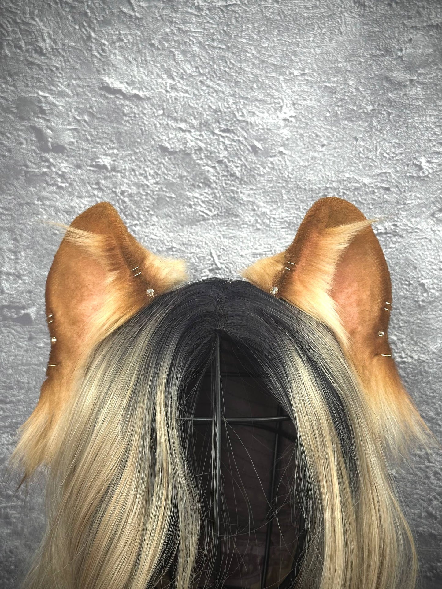 Lioness Ears RFS