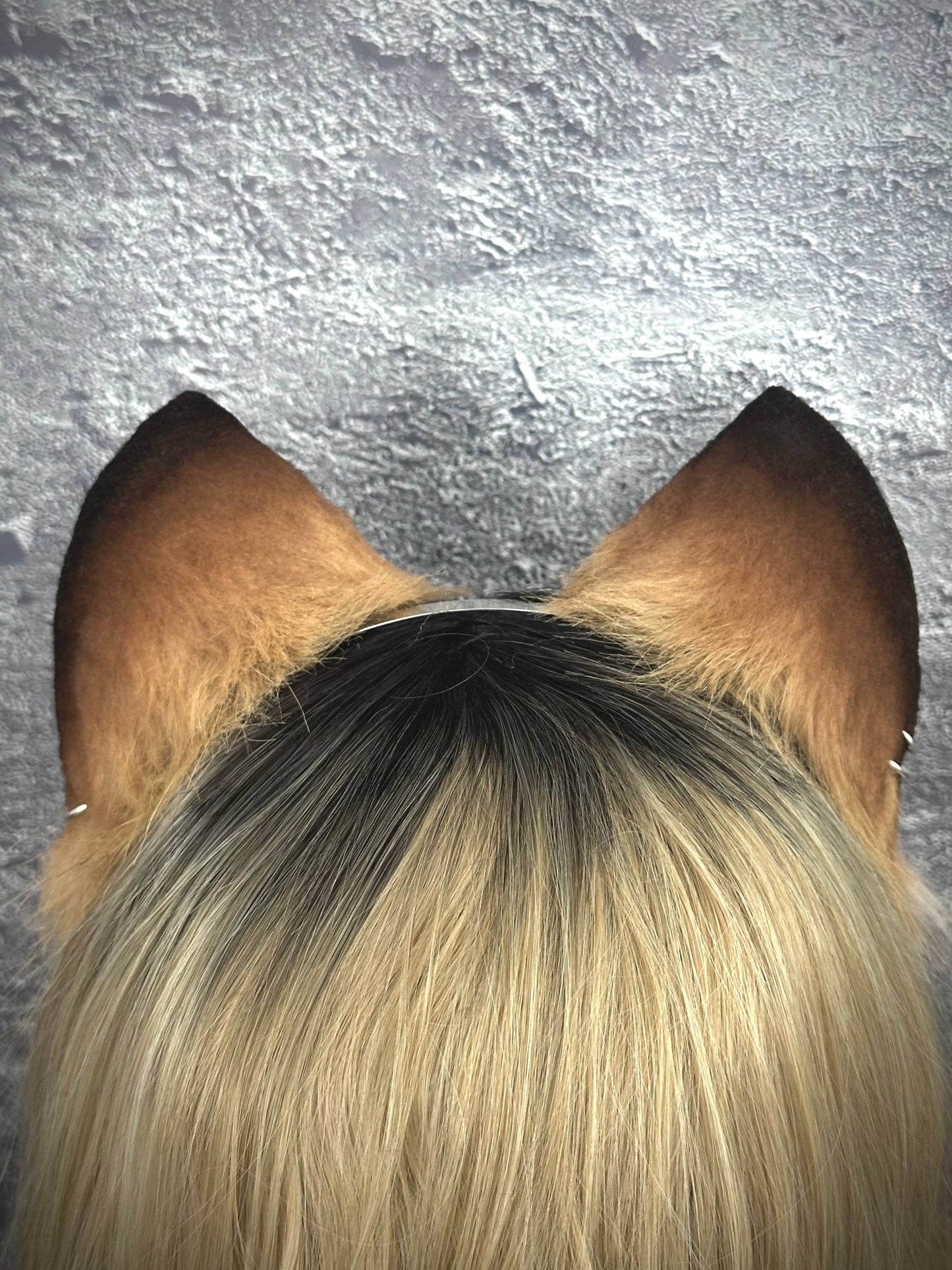 Caramel Kitten RFS