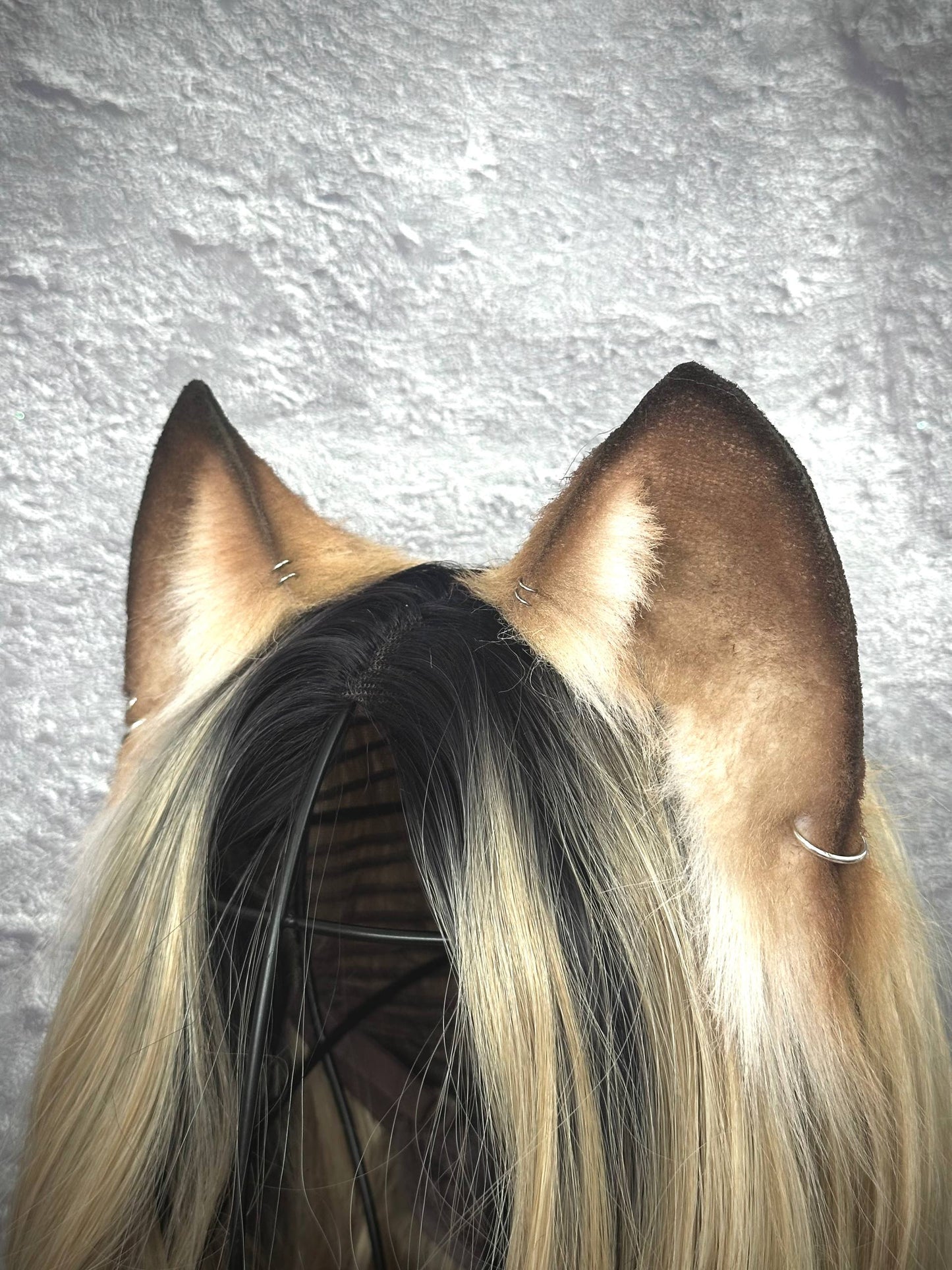 Caramel Kitten RFS