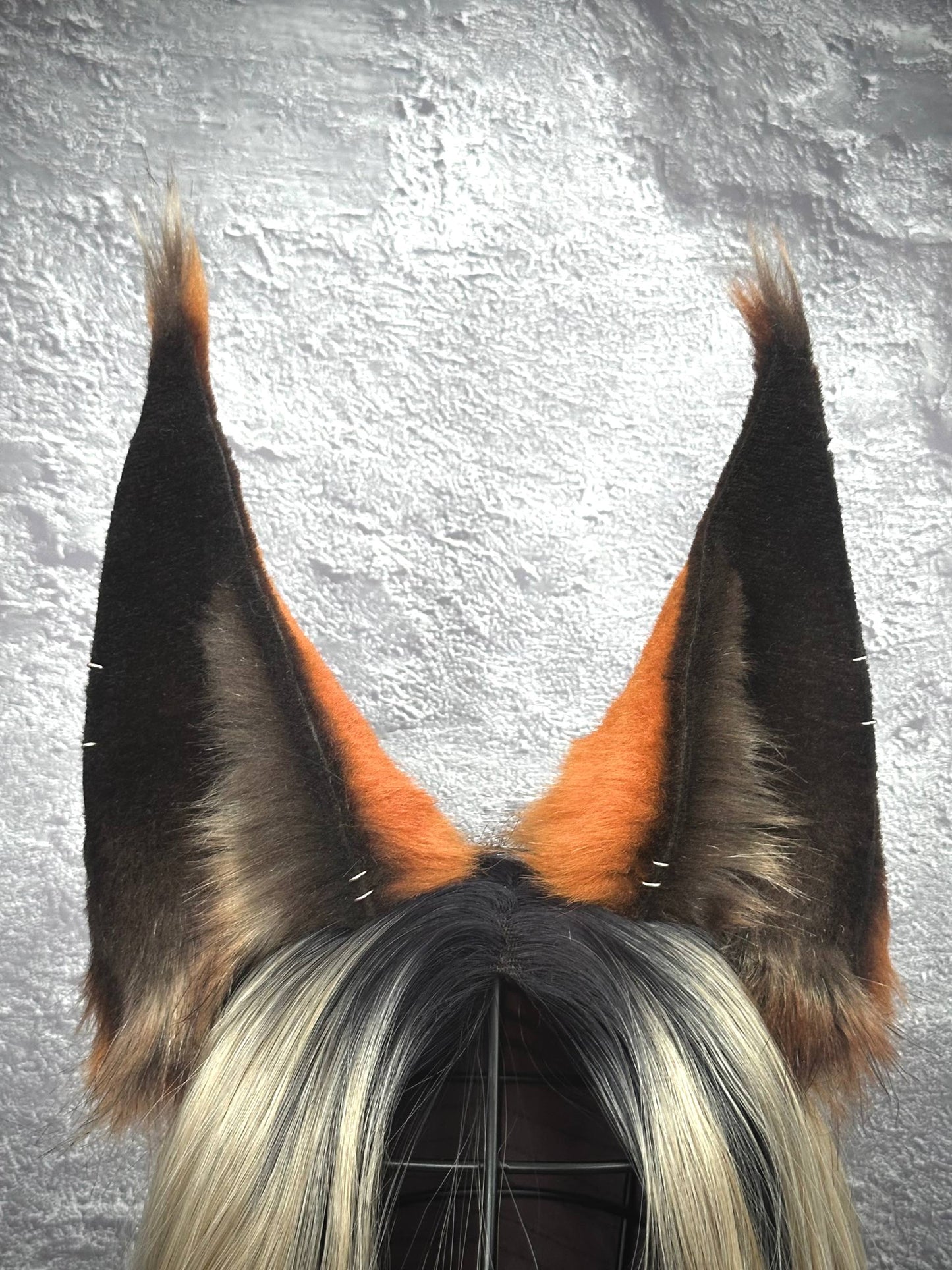 Big Ginger Lynx Ears RFS