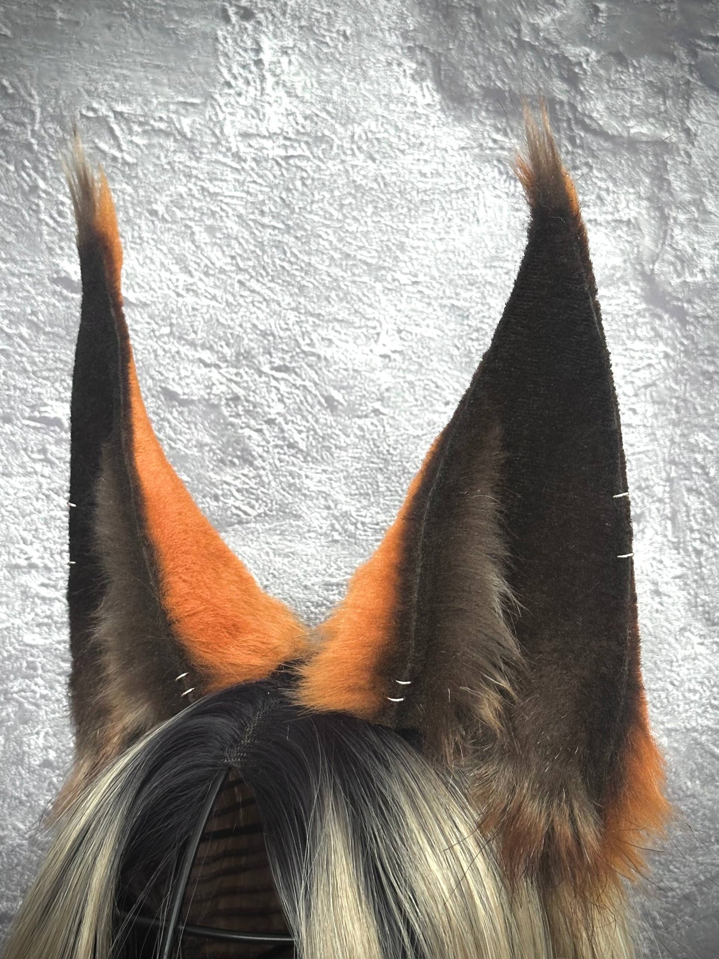 Big Ginger Lynx Ears RFS