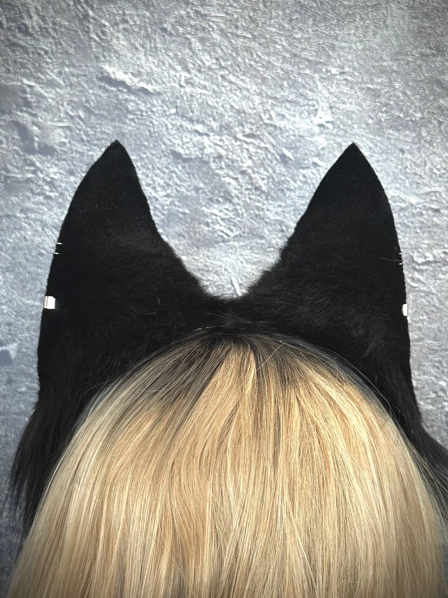 Anubis Ears RFS