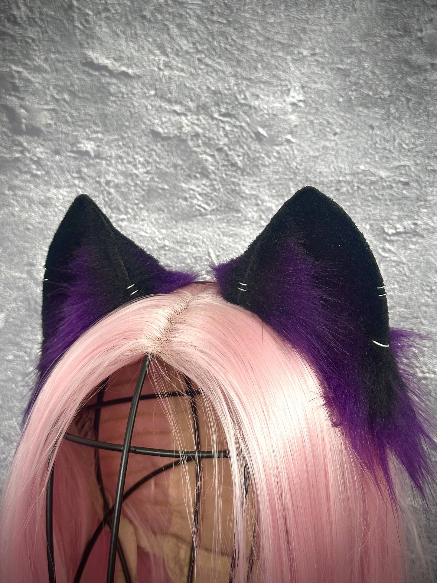 Purple Kitten RFS