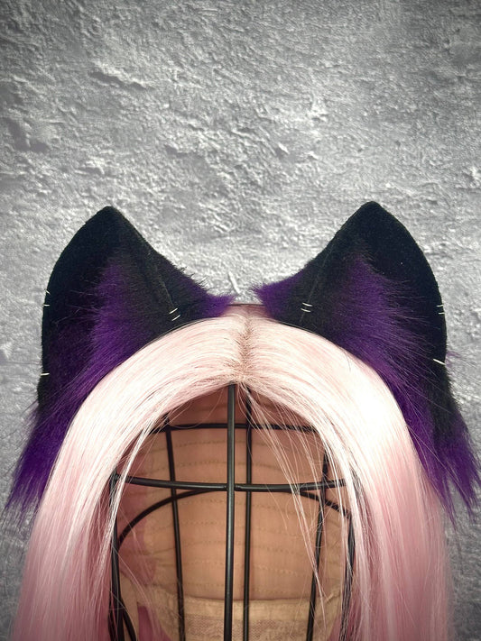 Purple Kitten RFS