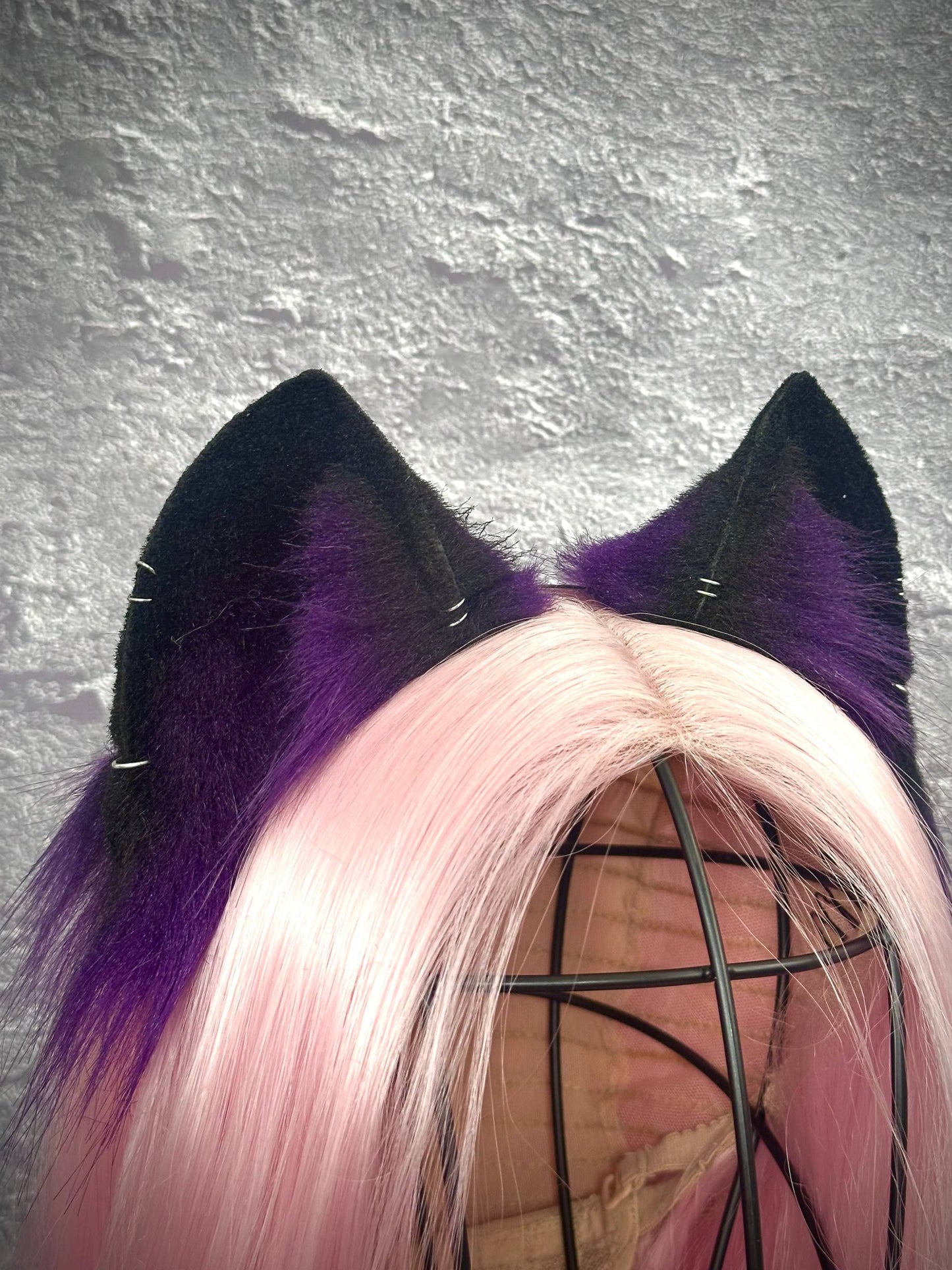 Purple Kitten RFS