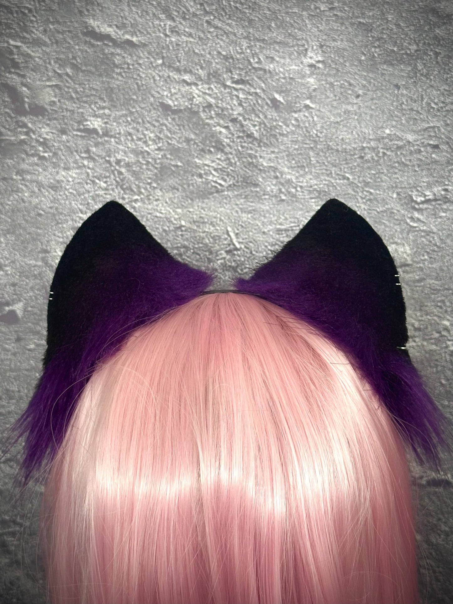Purple Kitten RFS