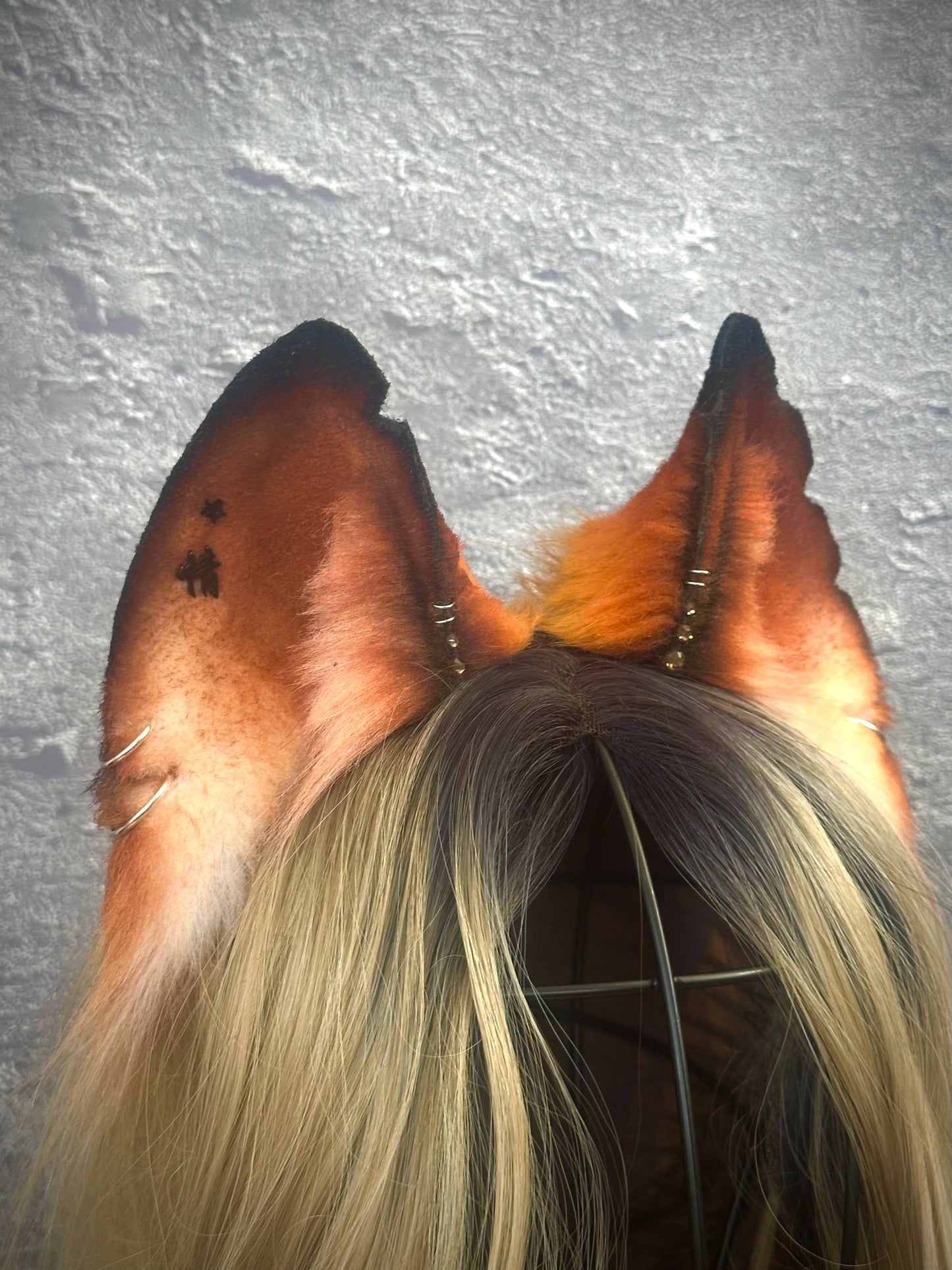 Mongrel Fox Ears  RFS