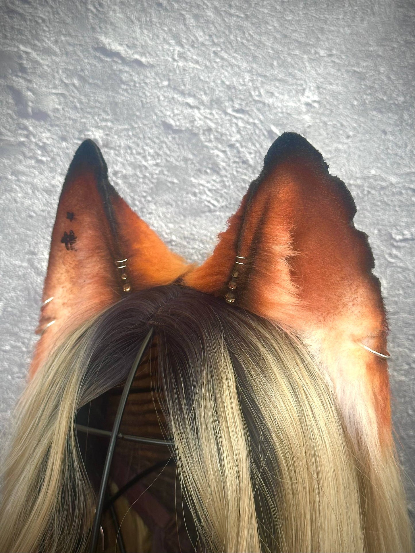 Mongrel Fox Ears  RFS