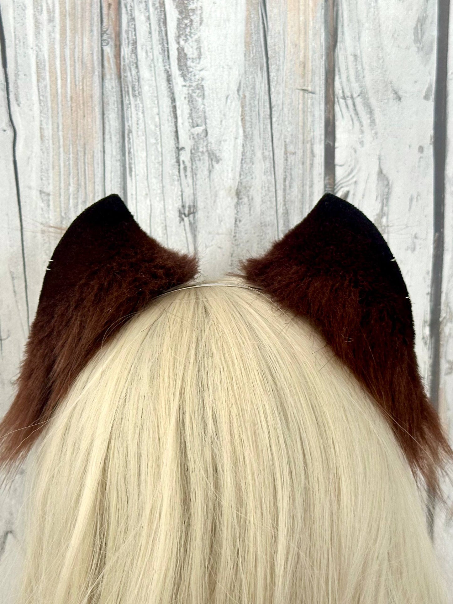 Dark Brown Kitten Ears RFS