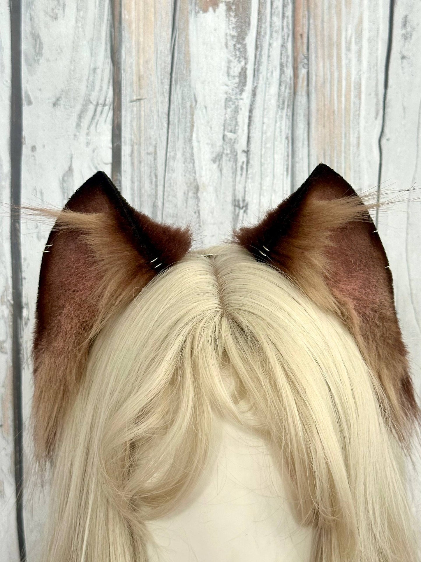 Dark Brown Kitten Ears RFS