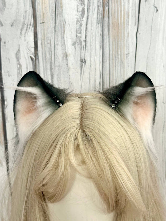 Raccoon Ears RFS