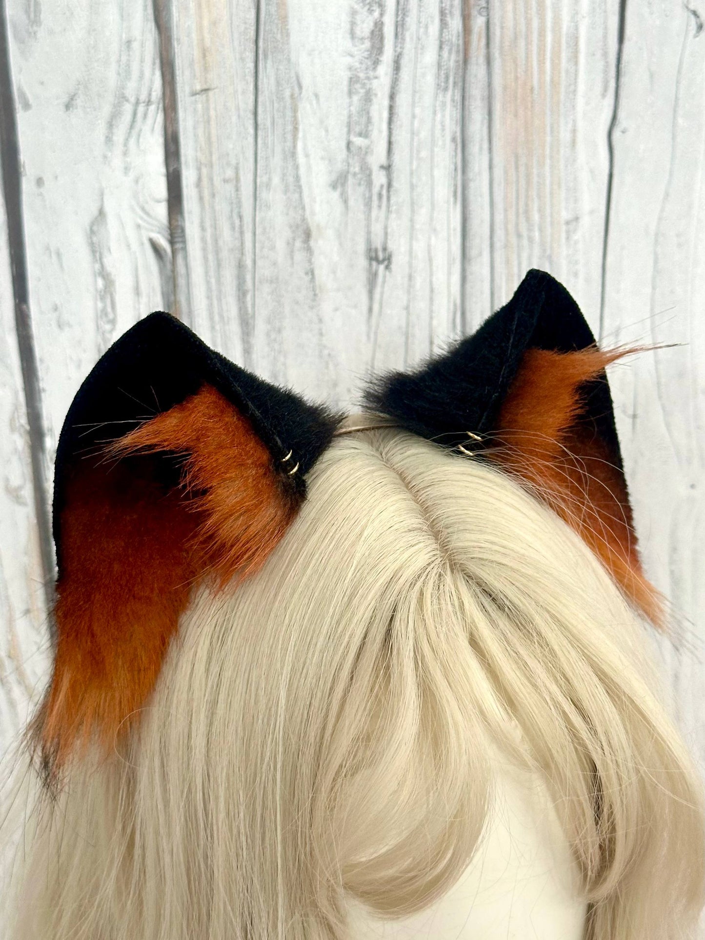 Black & Ginger Kitten Ears RFS