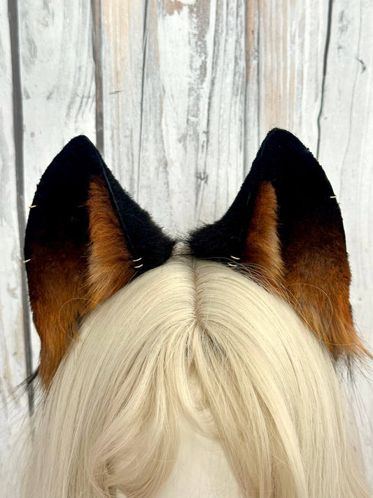 Brown Wolf Ears RFS
