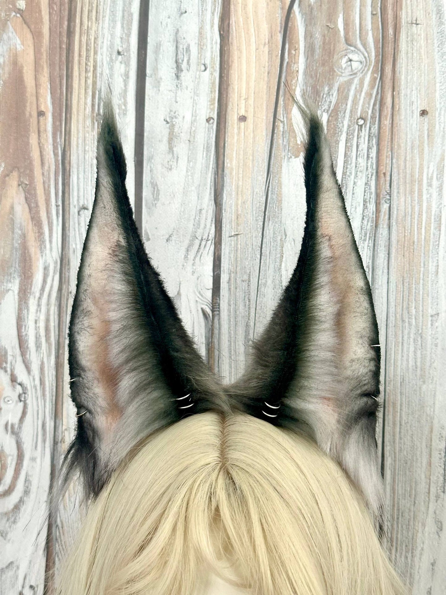 Grey Lynx Ears RFS