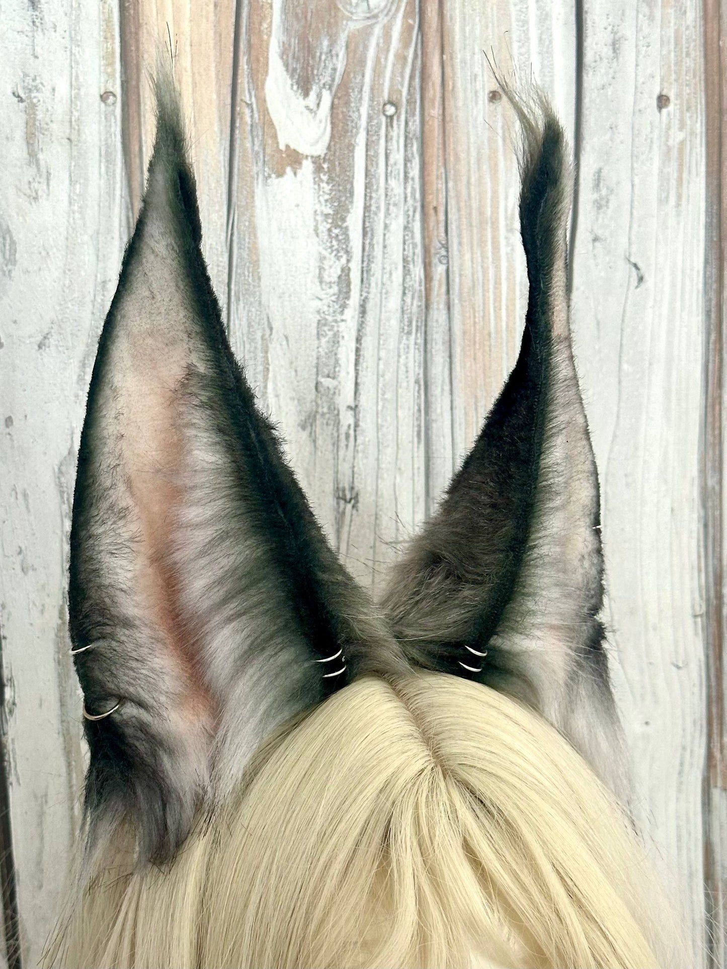 Grey Lynx Ears RFS