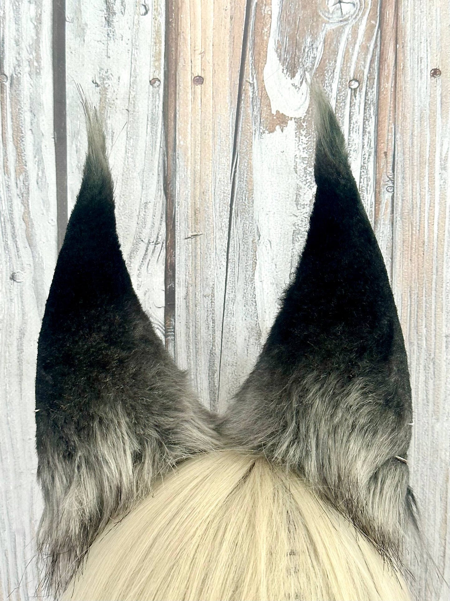 Grey Lynx Ears RFS