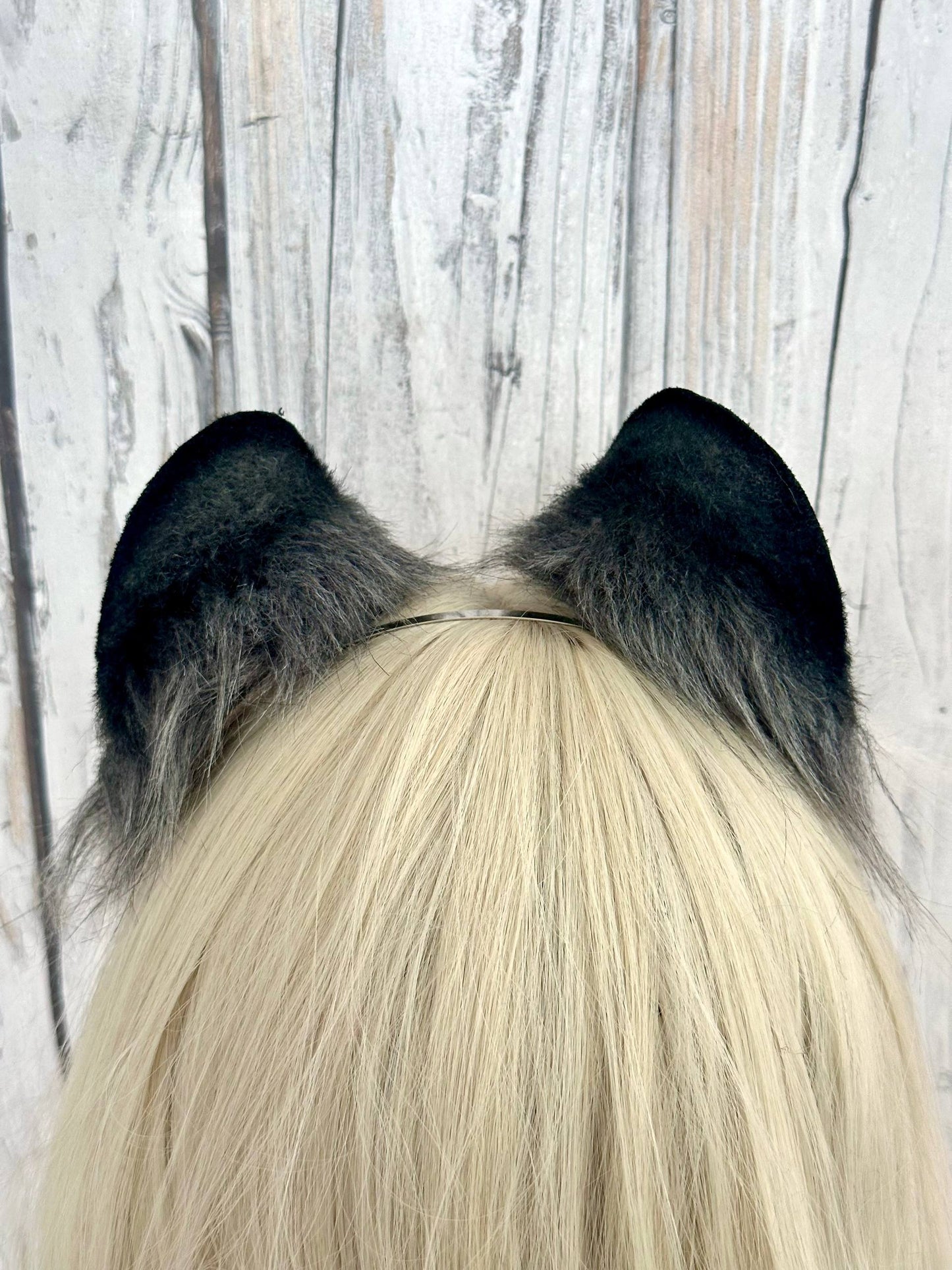 Raccoon Ears RFS