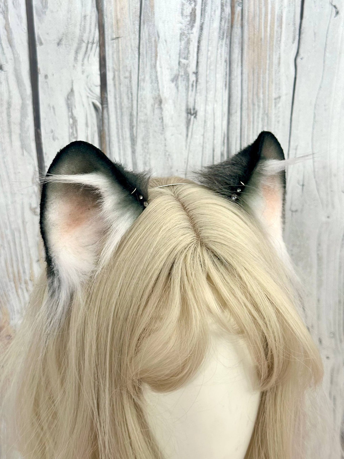 Raccoon Ears RFS