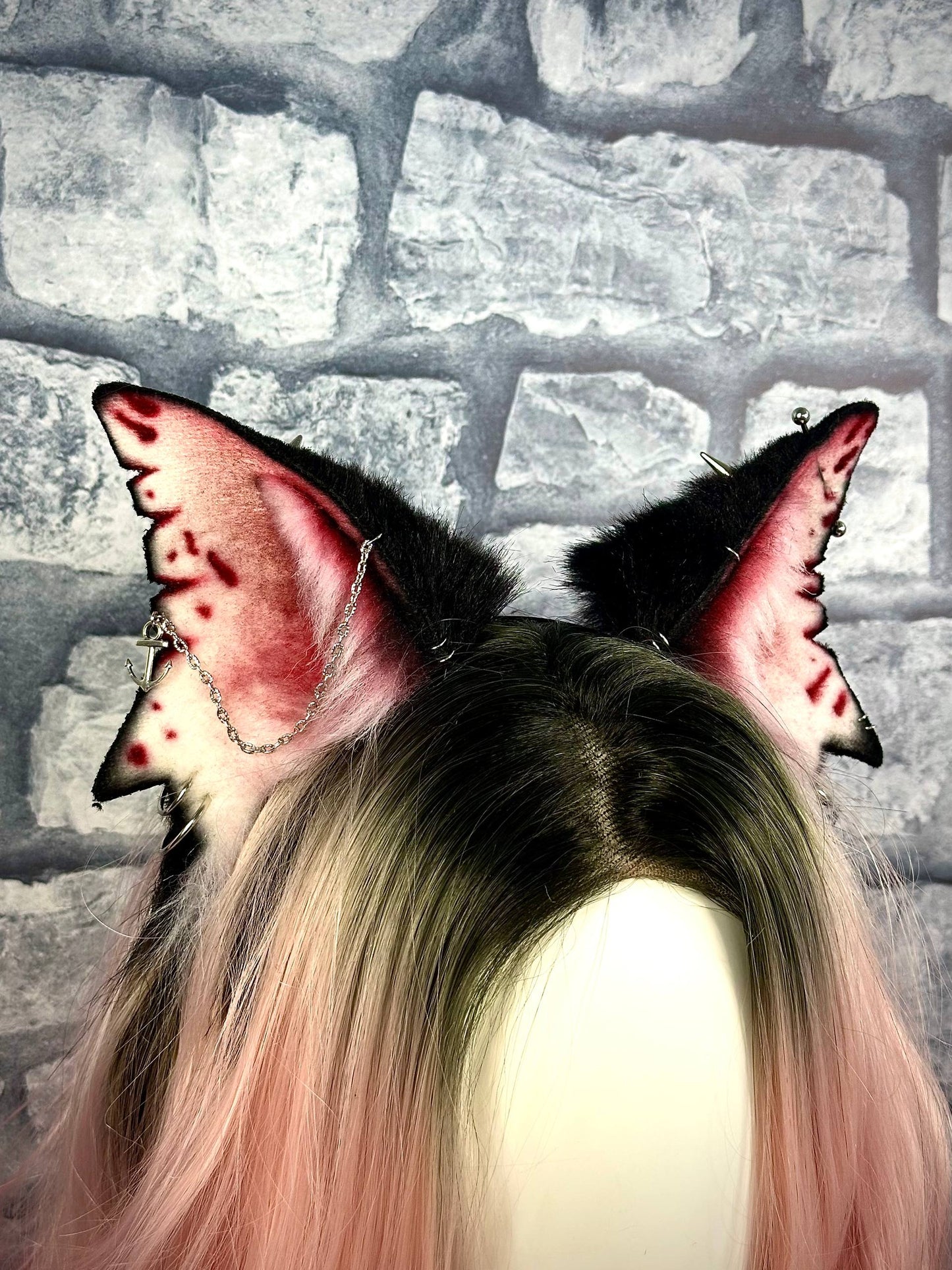 Shark Kitten Ears RFS