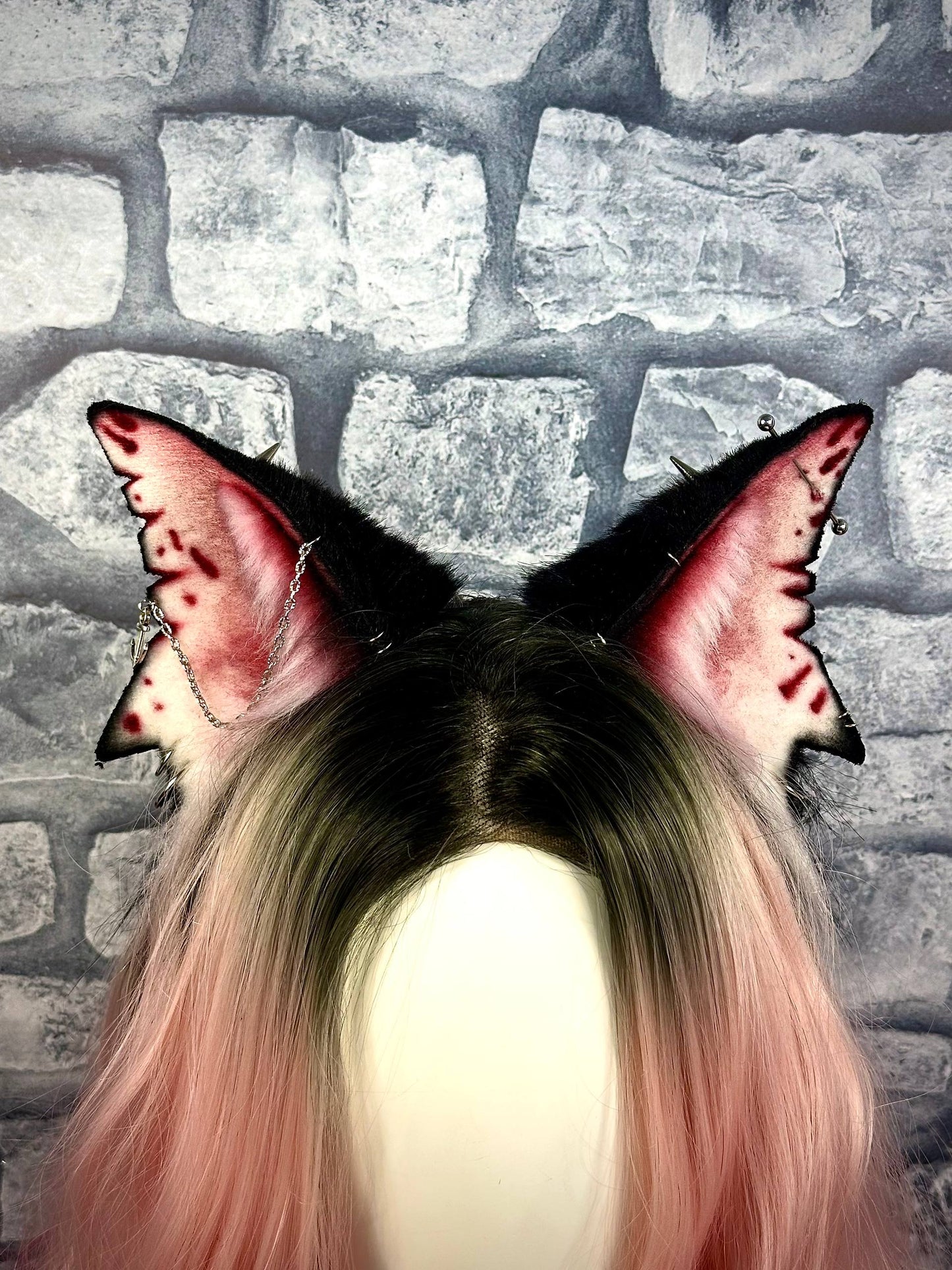Shark Kitten Ears RFS