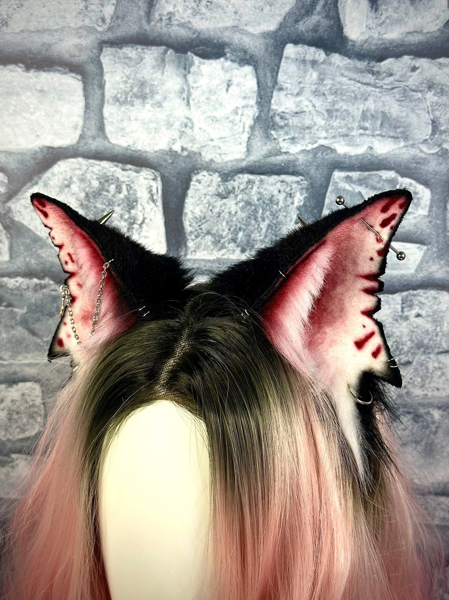 Shark Kitten Ears RFS