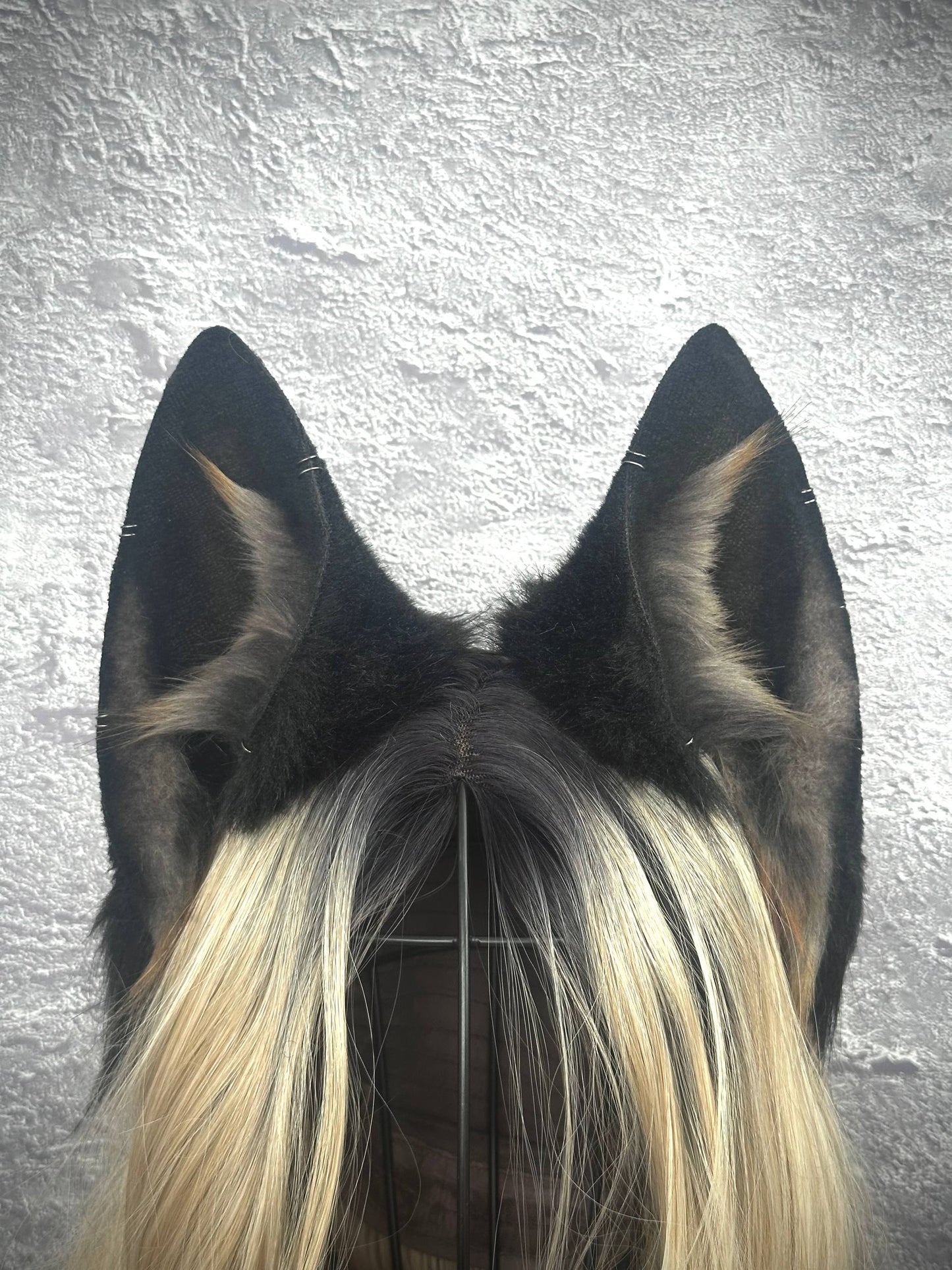 Black Fox Ears  RFS