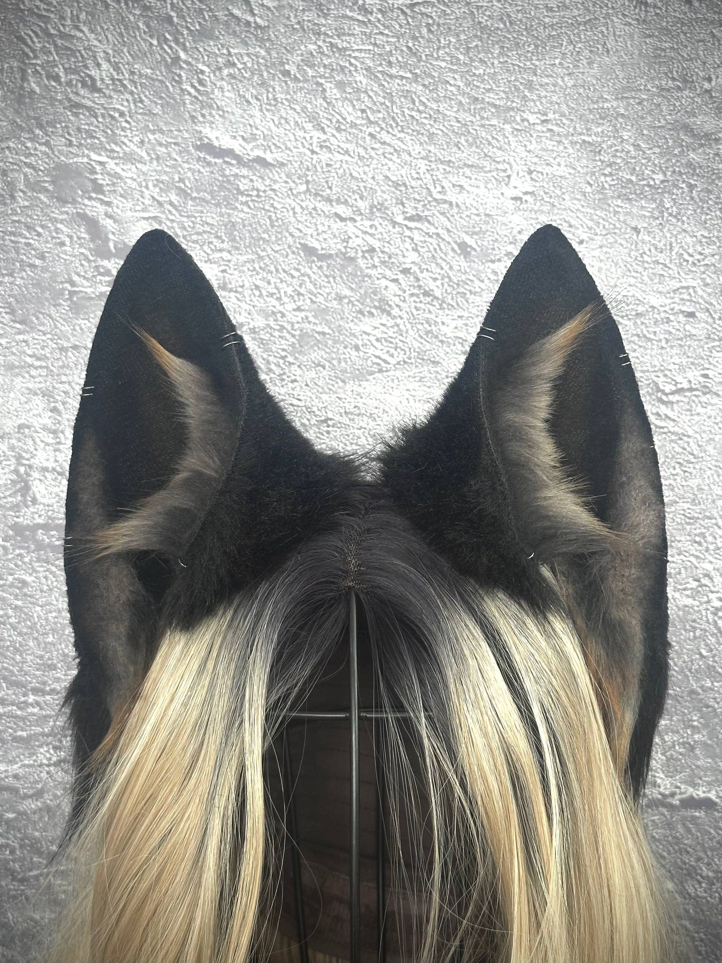 Black Fox Ears  RFS