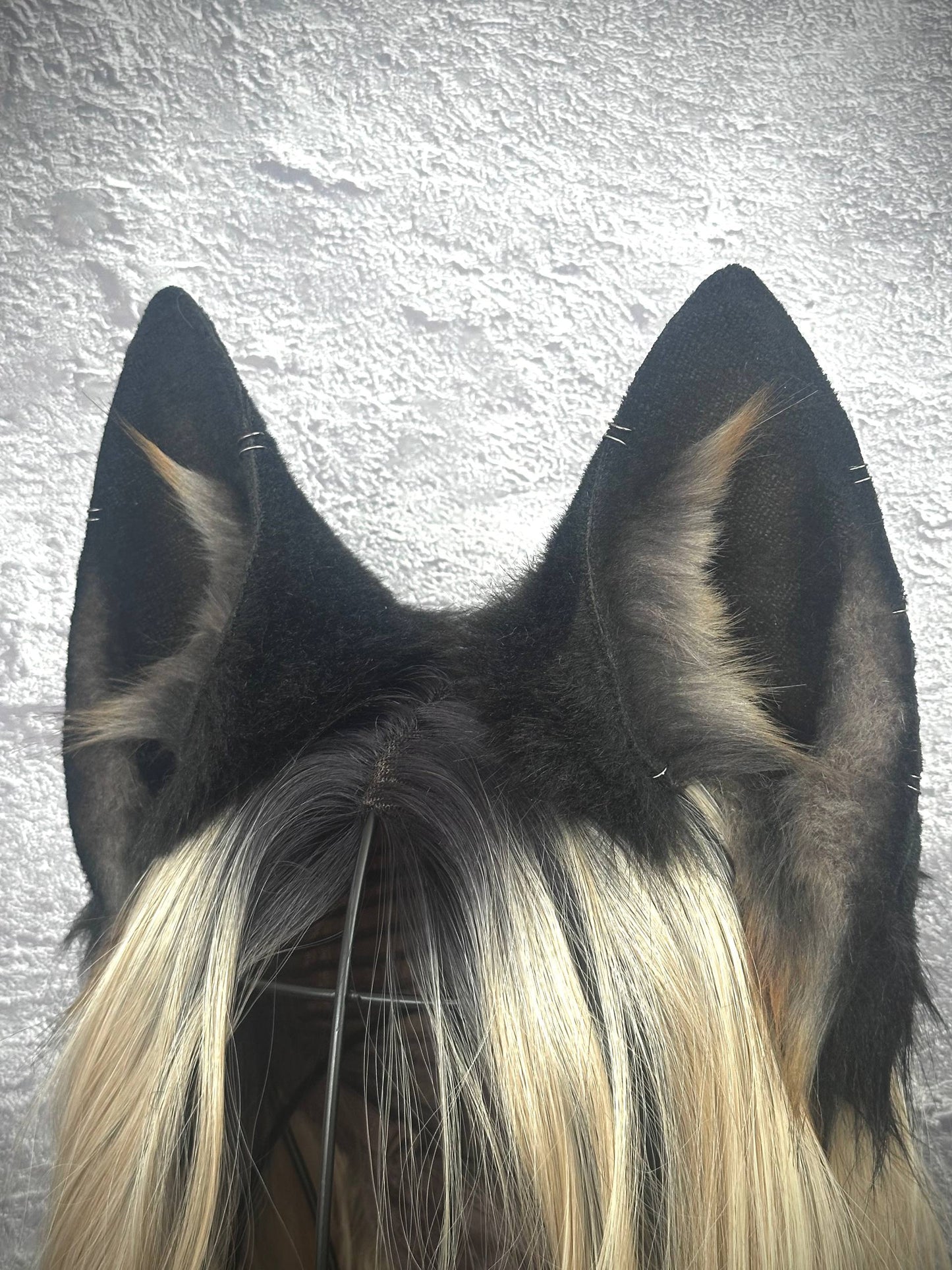 Black Fox Ears  RFS