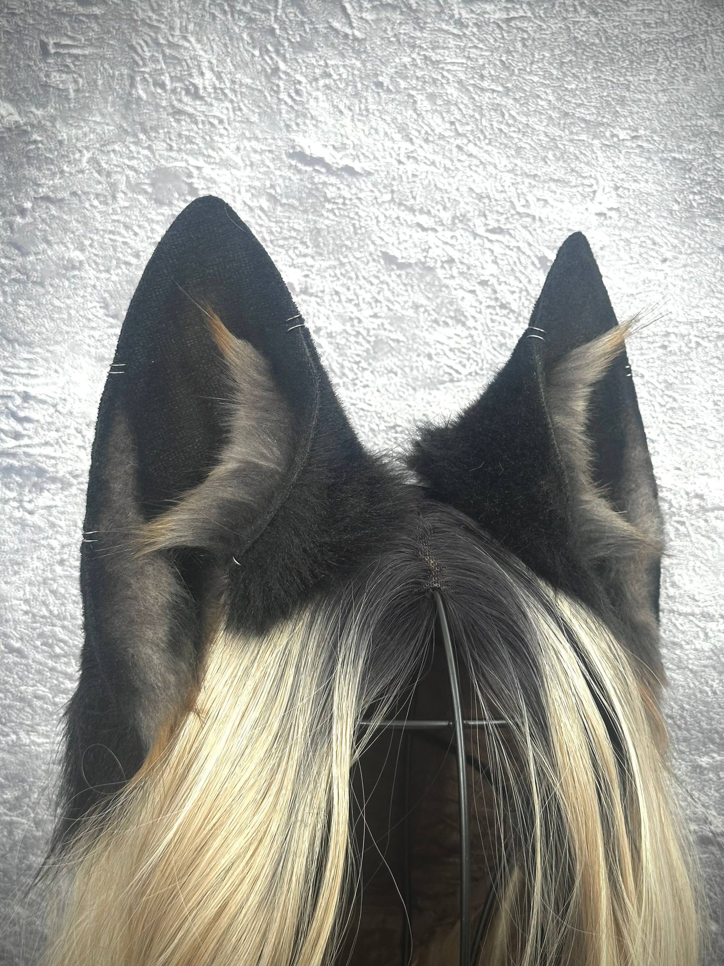 Black Fox Ears  RFS