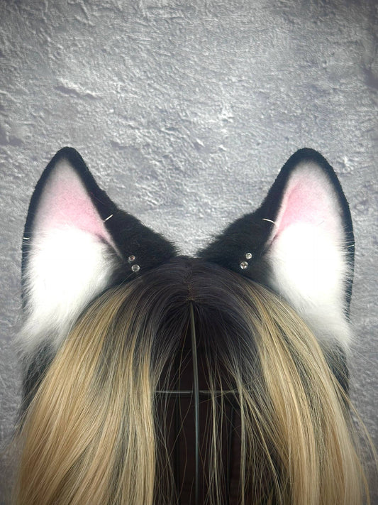 Black Fox Ears RFS