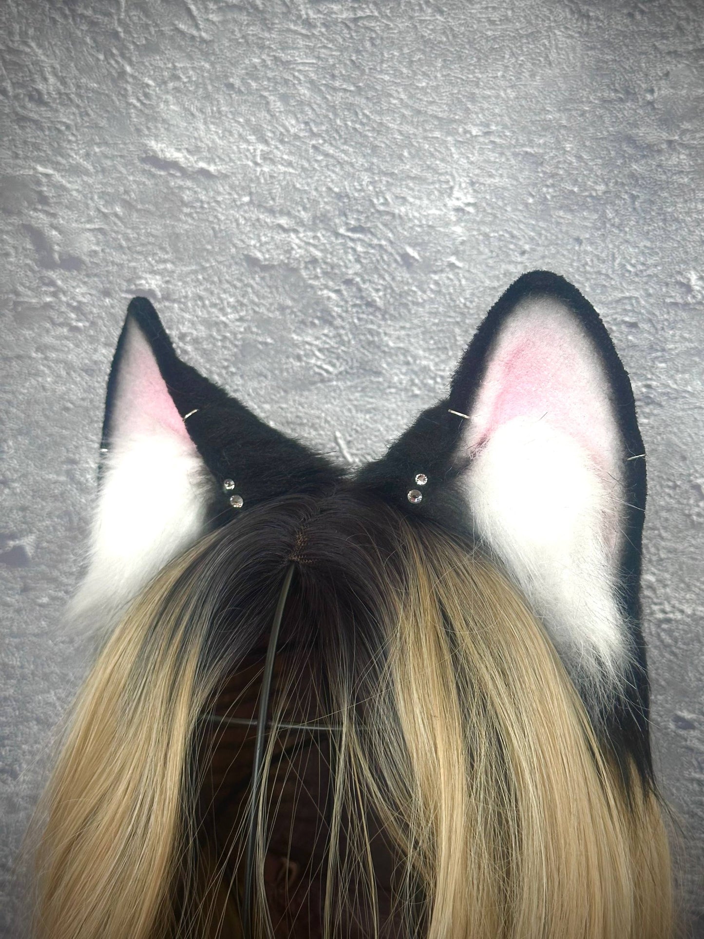 Black Fox Ears RFS