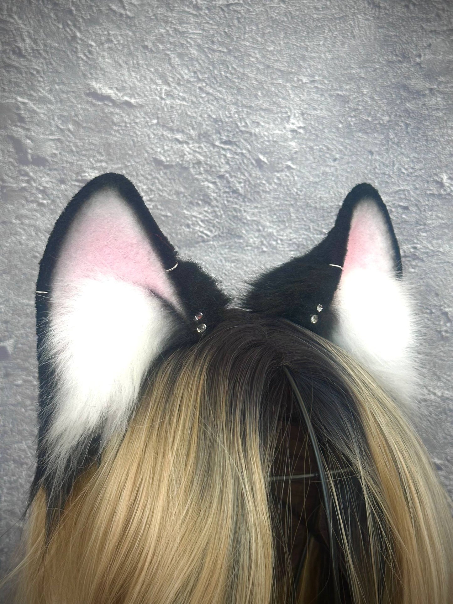 Black Fox Ears RFS