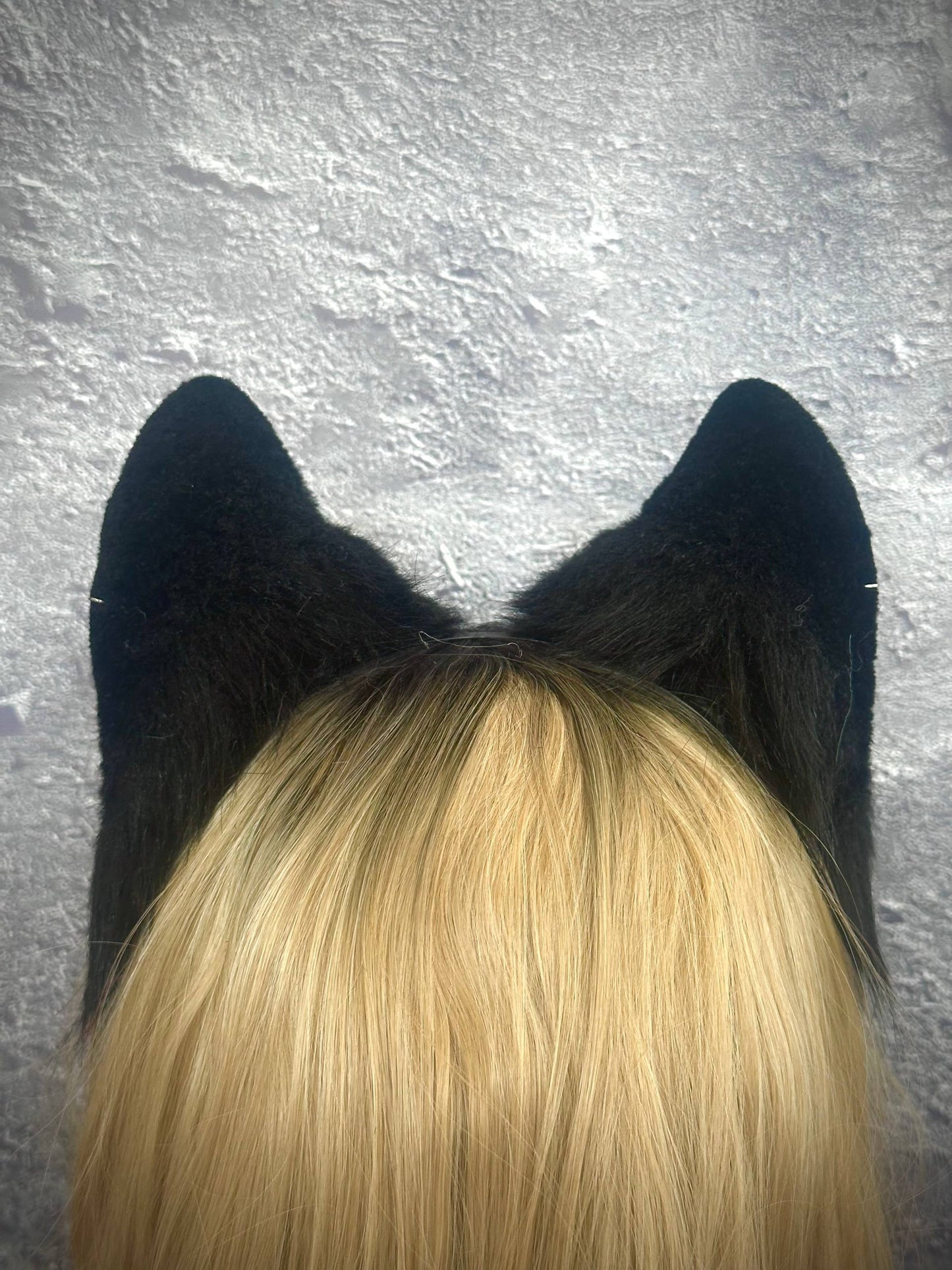 Black Fox Ears RFS