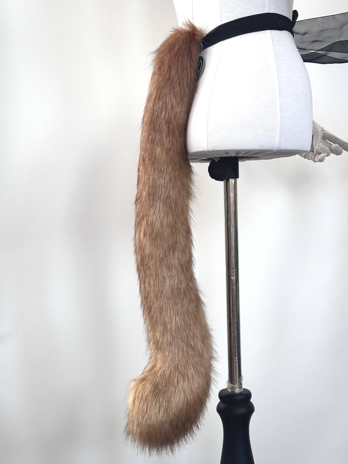 Brown Kitten Tail RFS