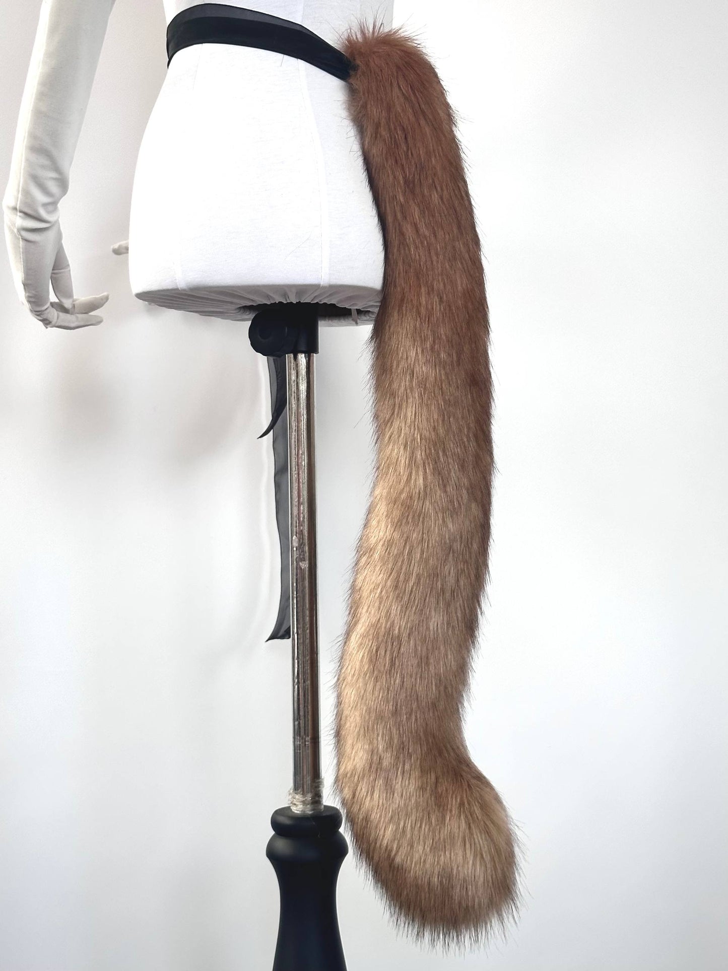 Brown Kitten Tail RFS
