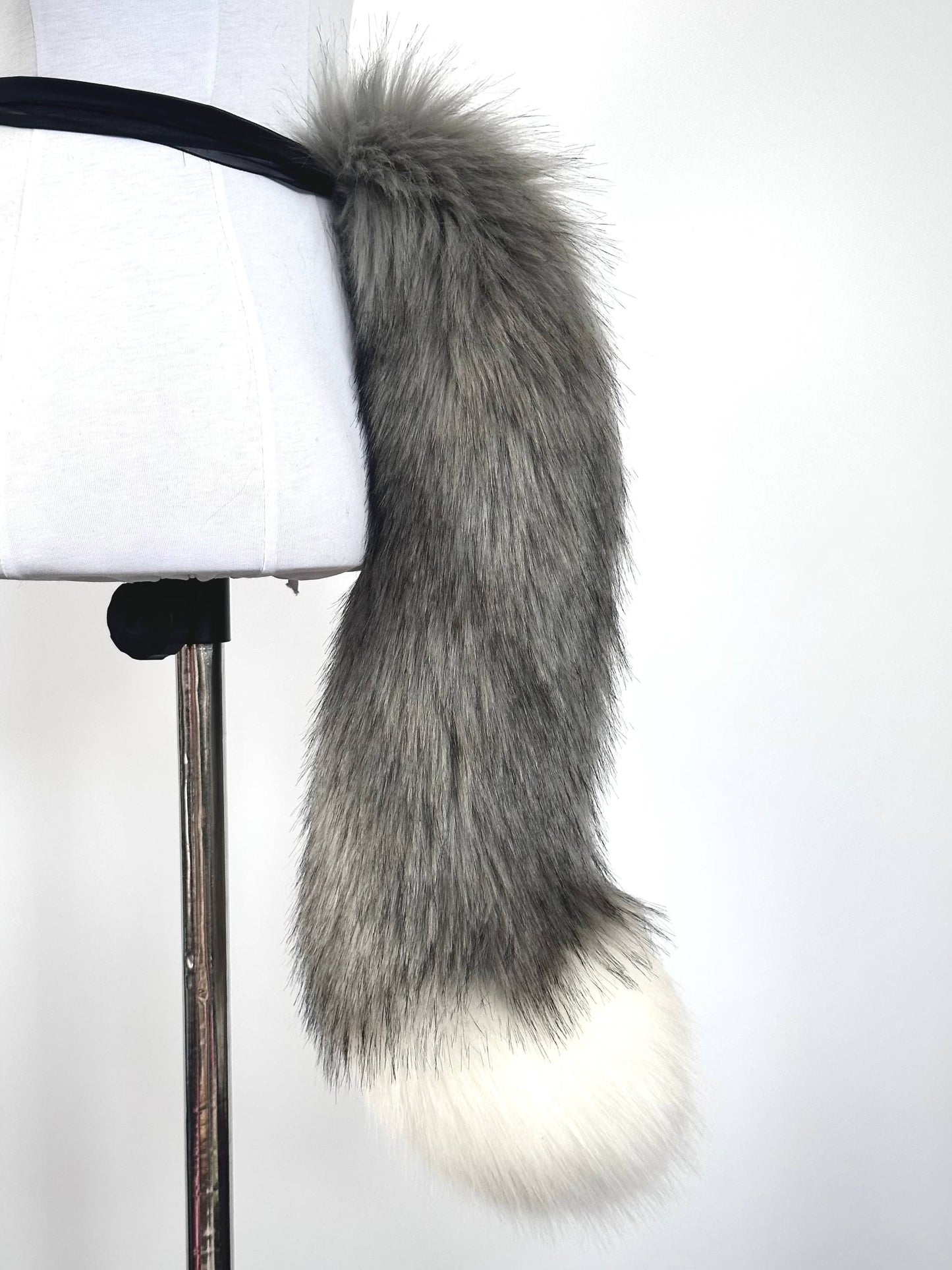 Grey Kitten Tail RFS