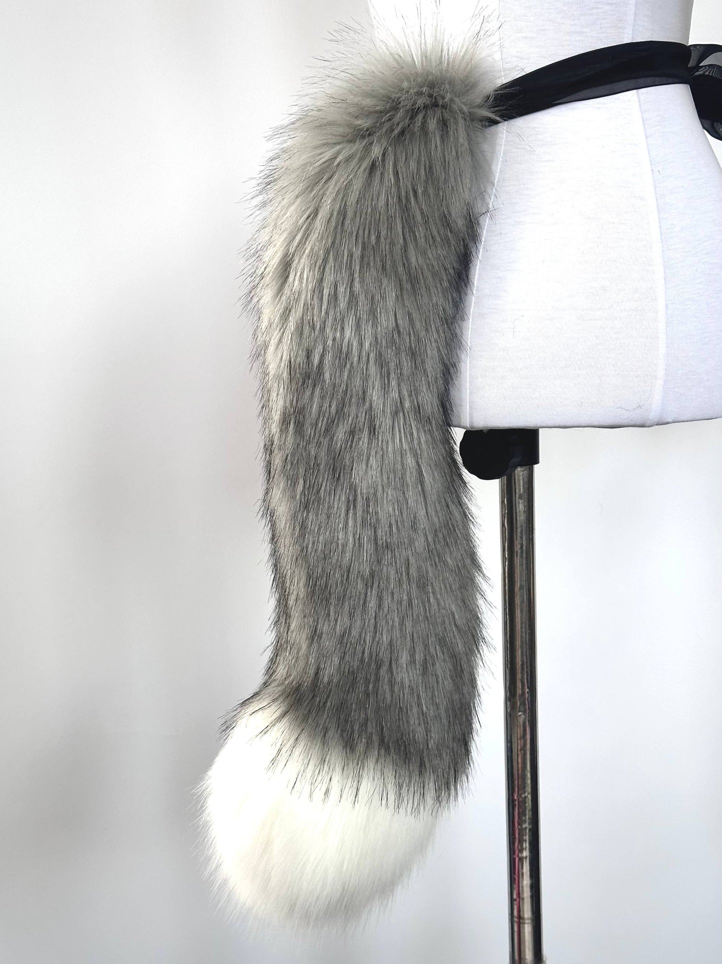 Grey Kitten Tail RFS