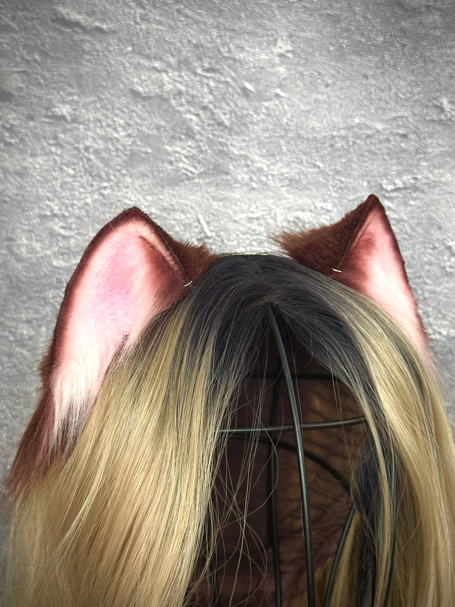 Brown Mini Kitten Ears RFS