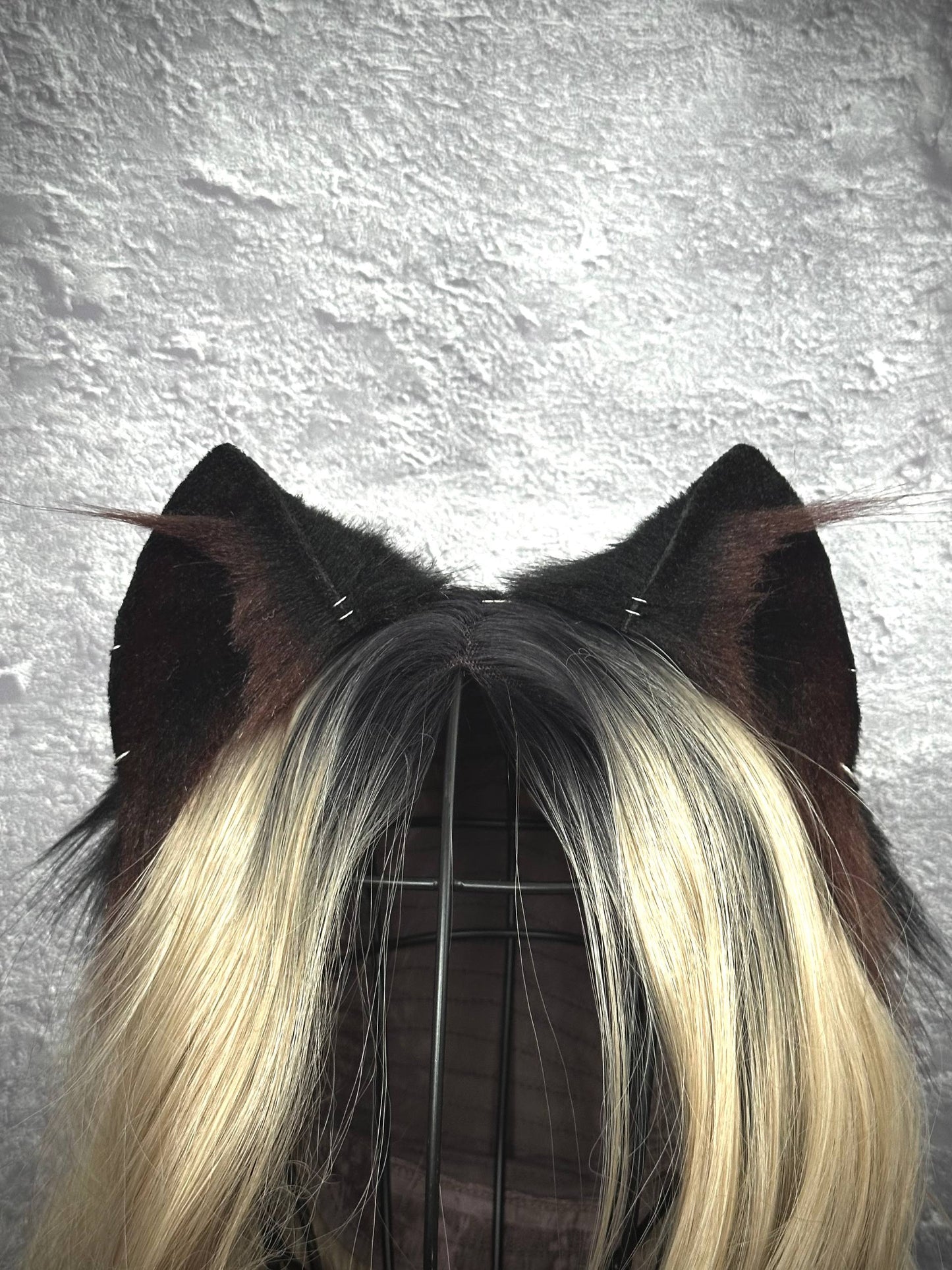 Brown Kitten Ears RFS