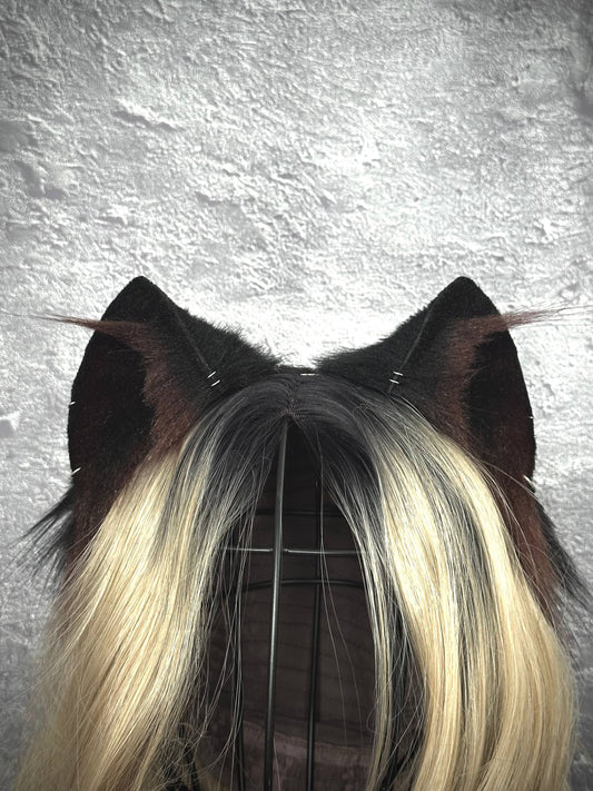 Brown Kitten Ears RFS