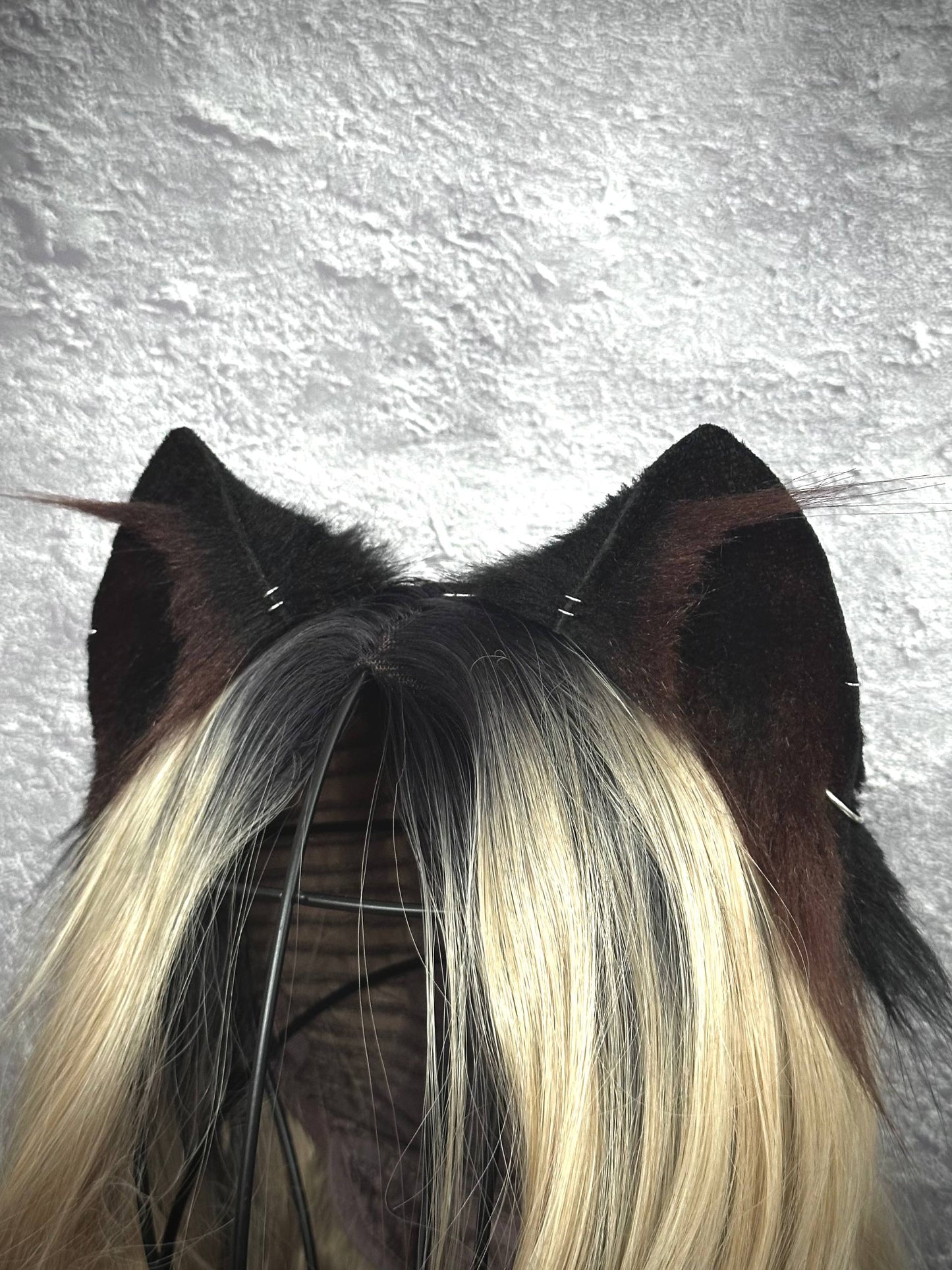 Brown Kitten Ears RFS