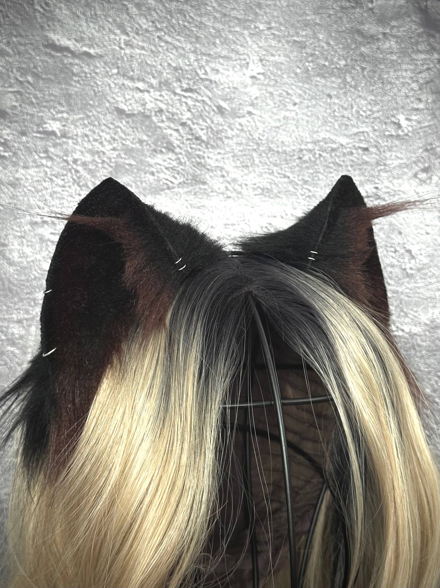 Brown Kitten Ears RFS