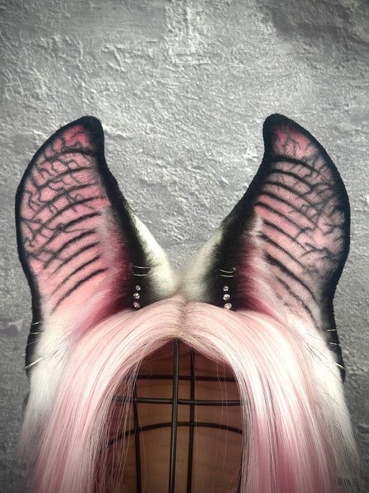 Albino Bat Ears RFS