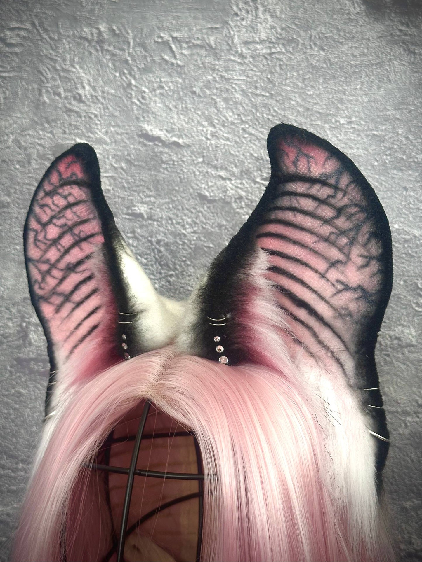 Albino Bat Ears RFS