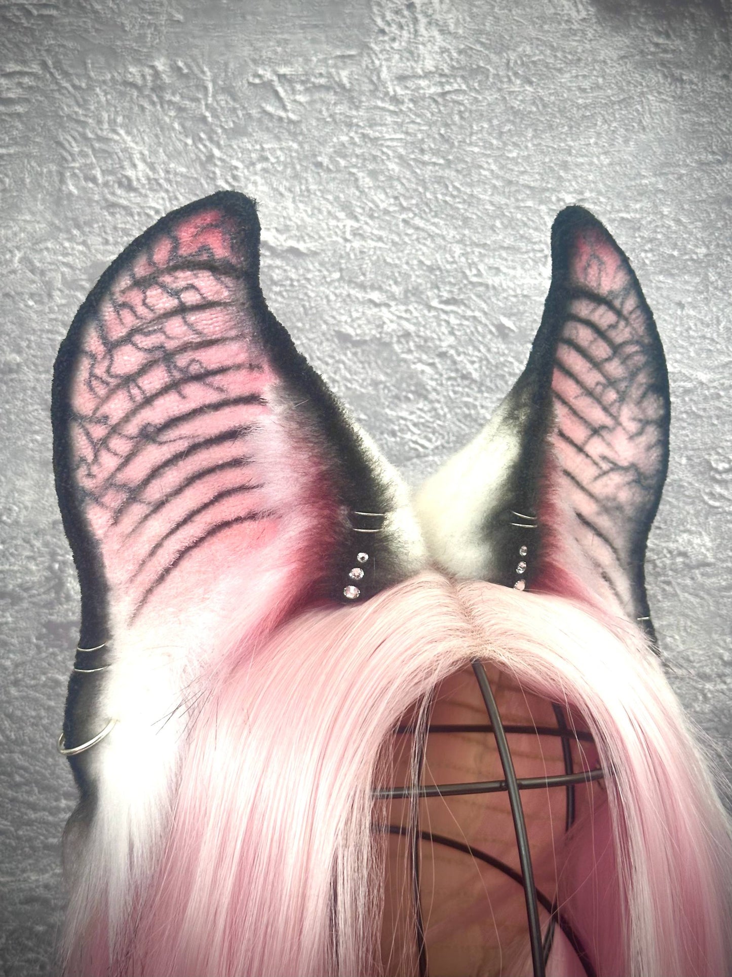Albino Bat Ears RFS